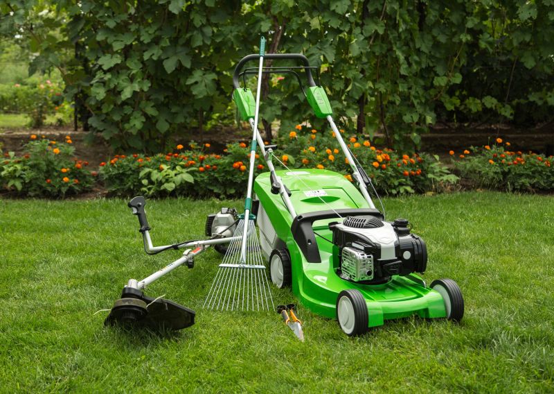 Yard Maintenance And Landscaping