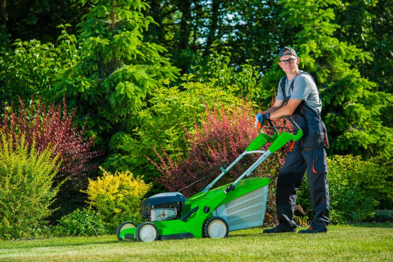 Yard Maintenance And Landscaping