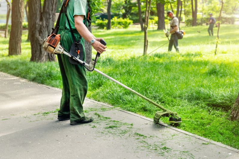 Yard Maintenance And Landscaping